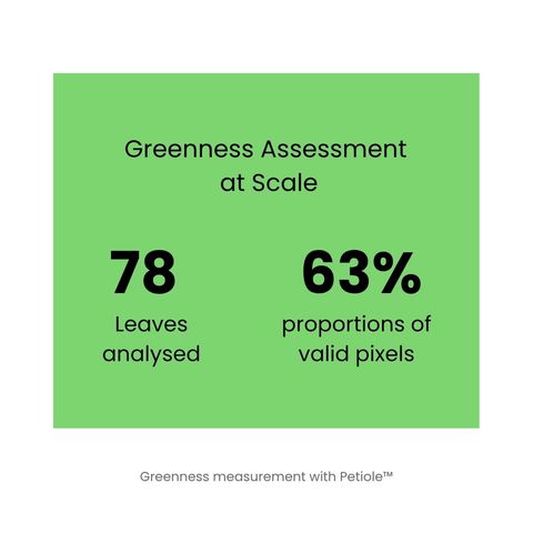 Green summary card headed ‘Greenness Assessment at Scale’ showing 78 leaves analysed and 63% proportion of valid pixels.
