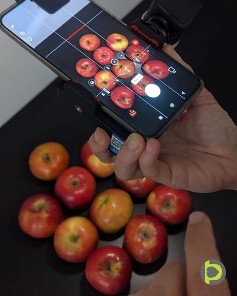 A phone held in a clamp directly above eleven apples on a dark matte table, its camera screen showing the apples in a grid with manual exposure and white-balance settings.