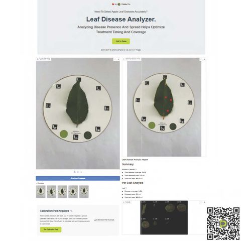 Petiole Leaf Disease Analyzer: an apple leaf on the calibration plate, the same leaf with detected disease spots marked in red, a report of total disease coverage and diseased area, and close-up crops of each detected lesion with its percentage of leaf area.