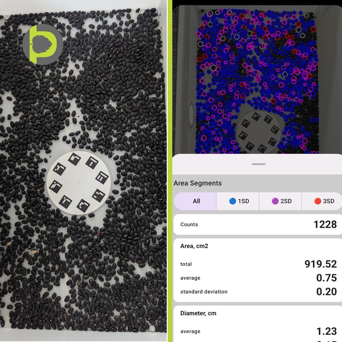 Side-by-side: black turtle beans spread on a white tray with a calibration plate, and the Petiole Pro detection with beans circled, showing a count of 1,228 and total area 919.52 cm².