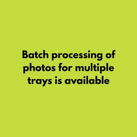 Text card: Batch processing of photos for multiple trays is available.
