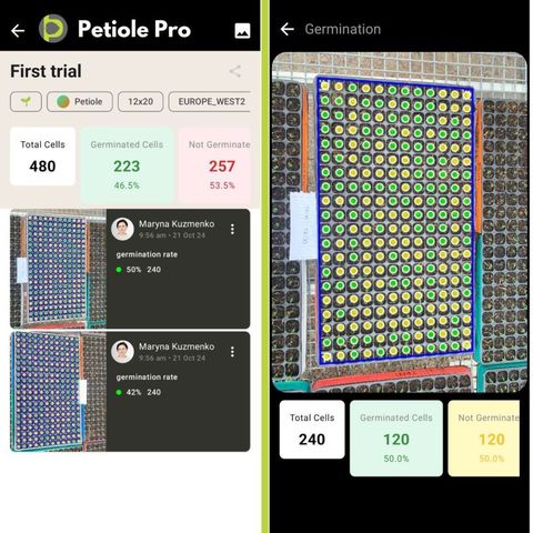 Petiole Pro app showing a trial called 'First trial' with a 12 × 20 tray format: 480 total cells, 223 germinated (46.5%) and 257 not germinated (53.5%), alongside one annotated tray with 240 cells, 120 germinated and 120 not germinated (50%).