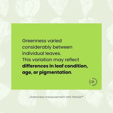 Statement card: greenness varied considerably between individual leaves, and this variation may reflect differences in leaf condition, age or pigmentation.