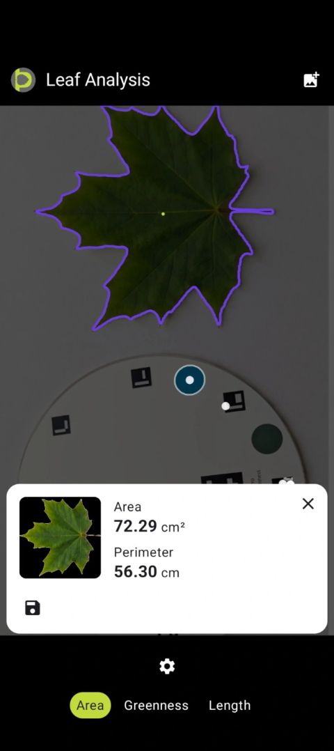 Leaf Analysis screen with area and perimeter result shown