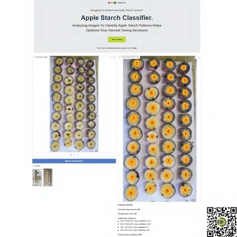 Petiole Apple Starch Classifier: a photo of 40 iodine-stained apple slices in four rows, ranging from mostly blue-black to mostly clear, and the same slices each labelled with a starch index score of 3, 4, 7 or 8, with an average starch index of 5.8.
