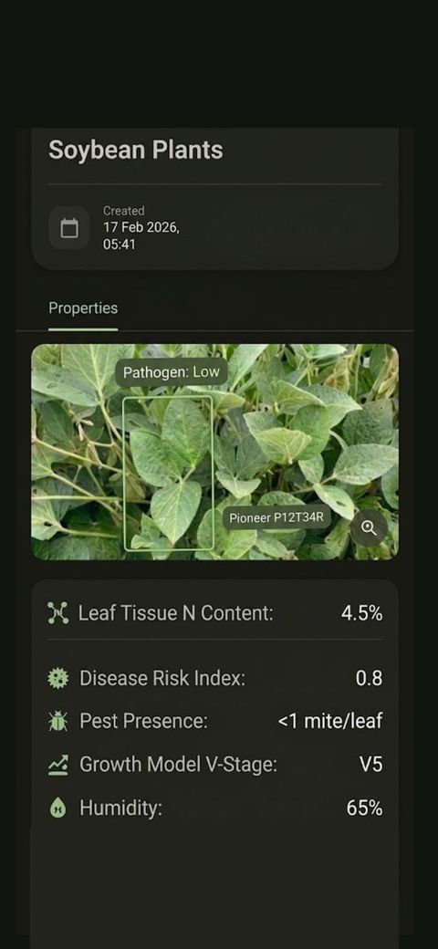 Petiole greenness and plant signal analysis screen