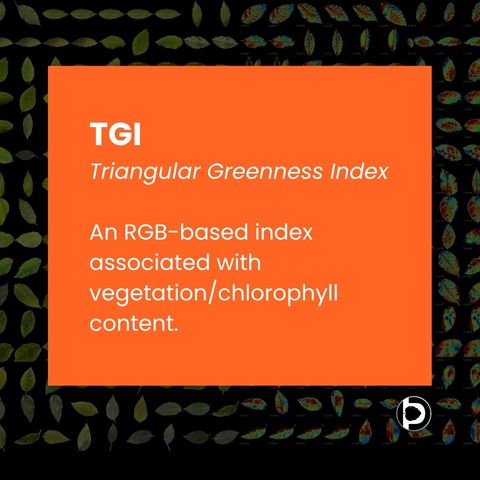 Card defining TGI, the Triangular Greenness Index, as an RGB-based index associated with vegetation and chlorophyll content.