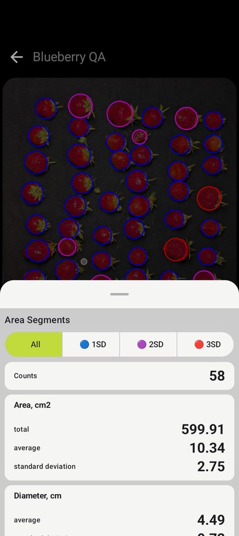 Petiole Pro QA screen counting strawberries, each circled by size, showing a count of 58, total area 599.91 cm², average area 10.34 cm² and standard deviation 2.75.