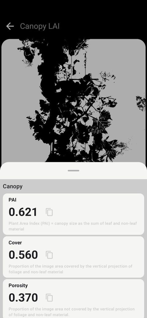 Petiole Pro Canopy LAI screen showing a binarised grapevine canopy image with PAI 0.621, Cover 0.560 and Porosity 0.370.