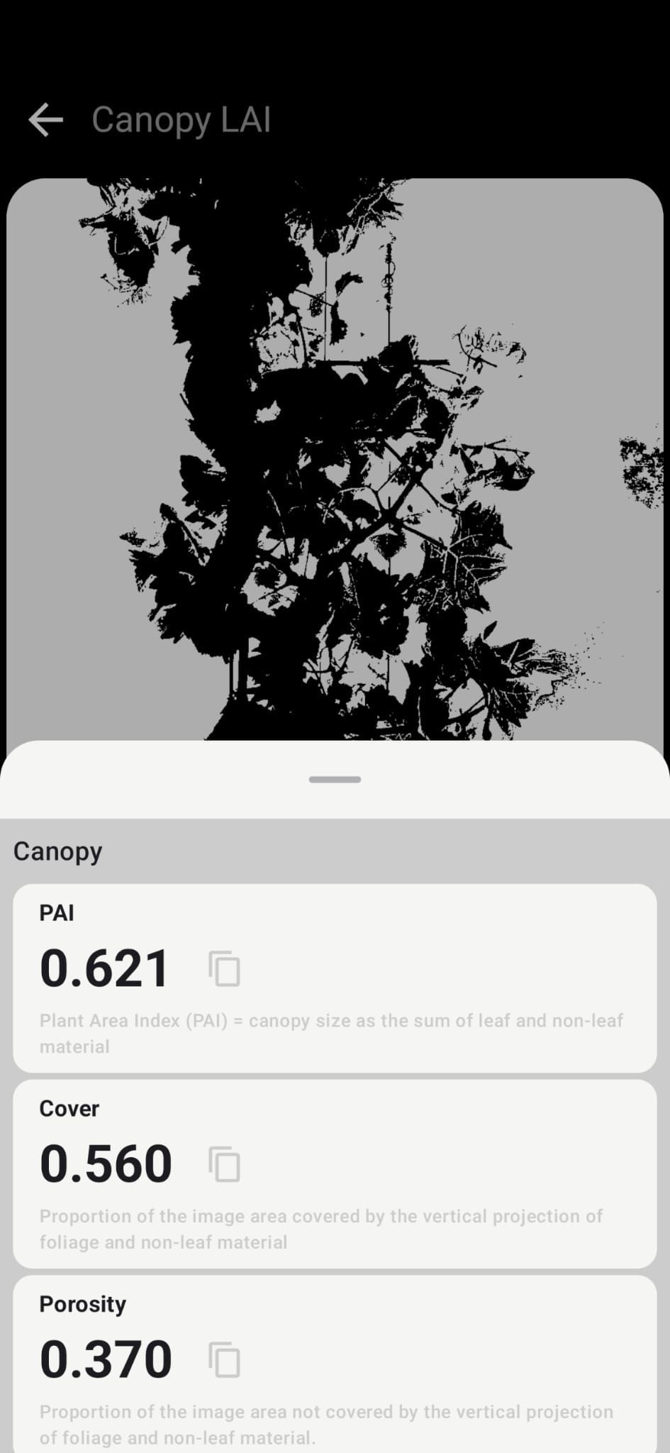 Petiole Pro Canopy LAI screen showing a binarised grapevine canopy image with PAI 0.621, Cover 0.560 and Porosity 0.370.
