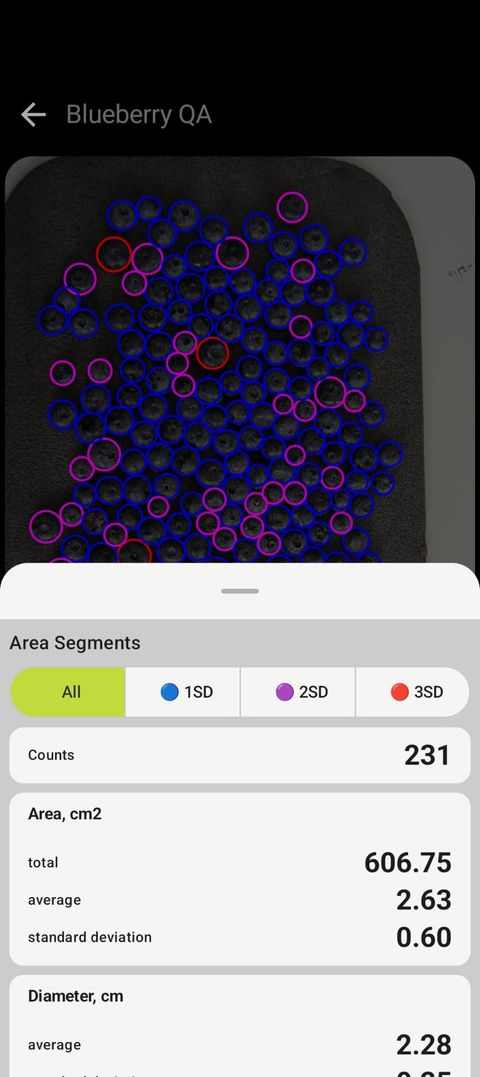 Petiole Pro Blueberry QA screen: blueberries on a dark background each circled by the app, with a count of 231, average area 2.63 cm² and standard deviation 0.60.